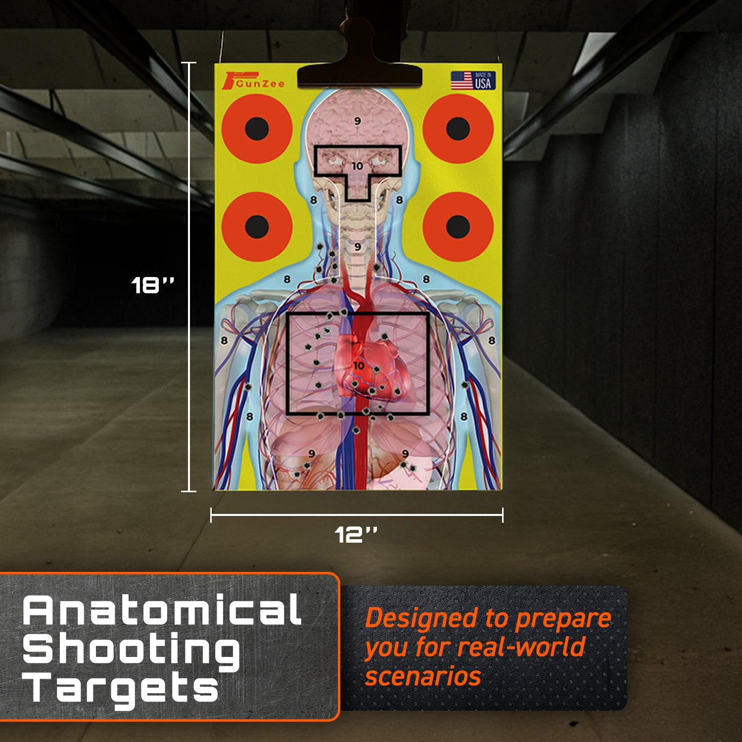 High Visibility Anatomical Shooting Targets 12"x18" – Numbered Paper for Range, Handgun, Rifle & Airsoft Practice – 25, 50, or 100 Packs