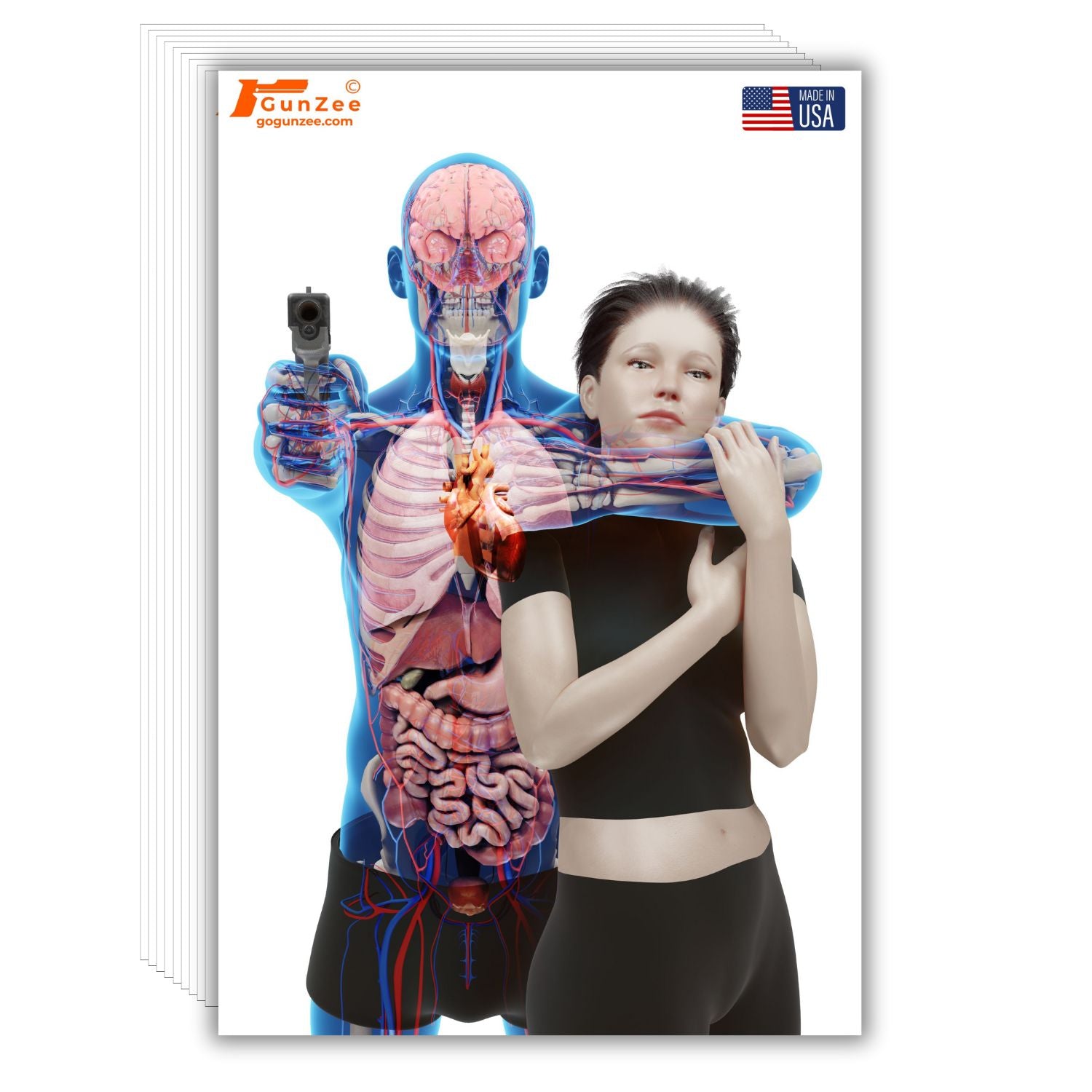 Anatomical model of a person with visible internal organs and a woman holding it, with GunZee branding.