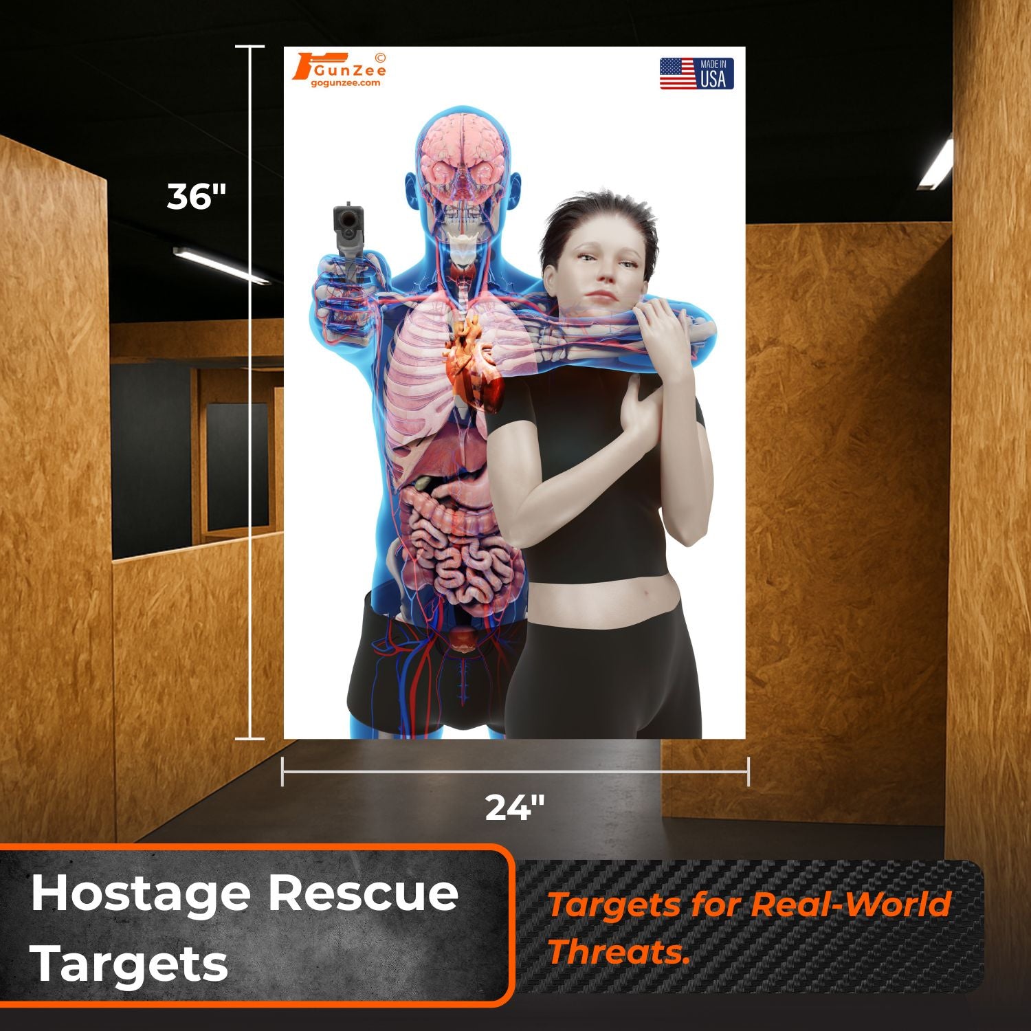 Hostage rescue target with a person holding a gun and a torso with internal organs visible, mounted on a wall.