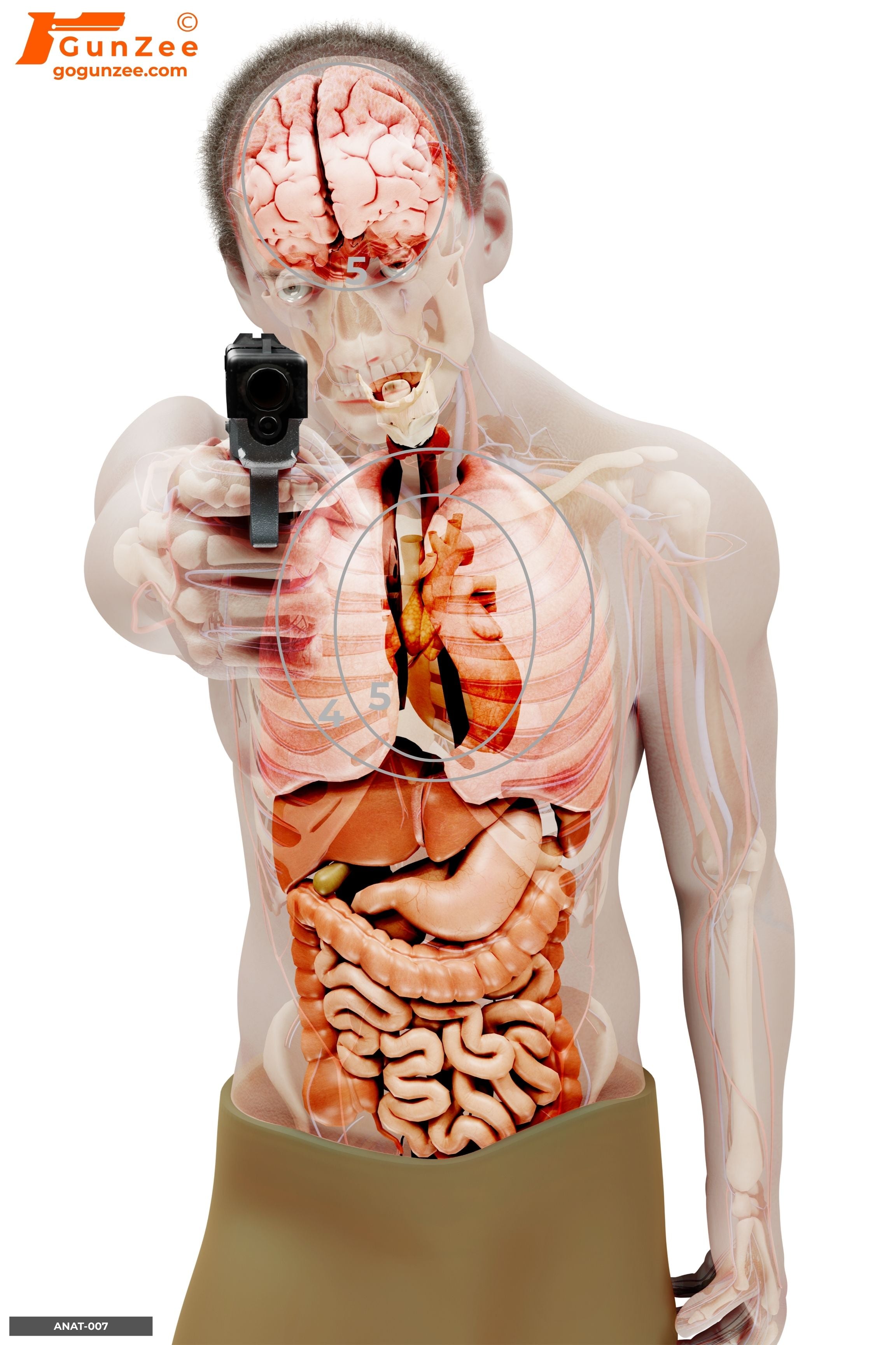 Anatomical Semi-Frontal Handgun Threat Precision Shooting Target