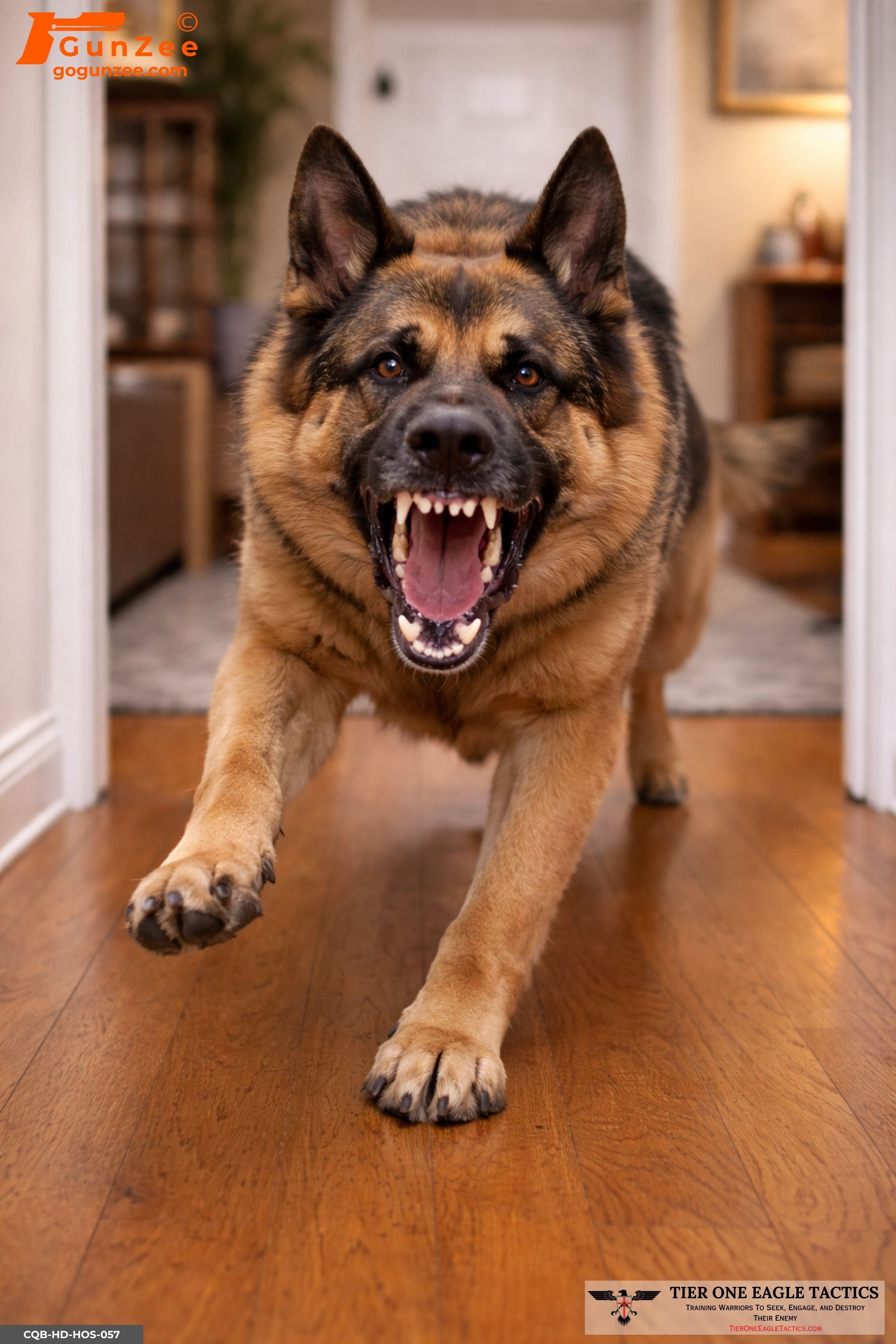 Agency Core 460 Rotation - 460 Target Pack