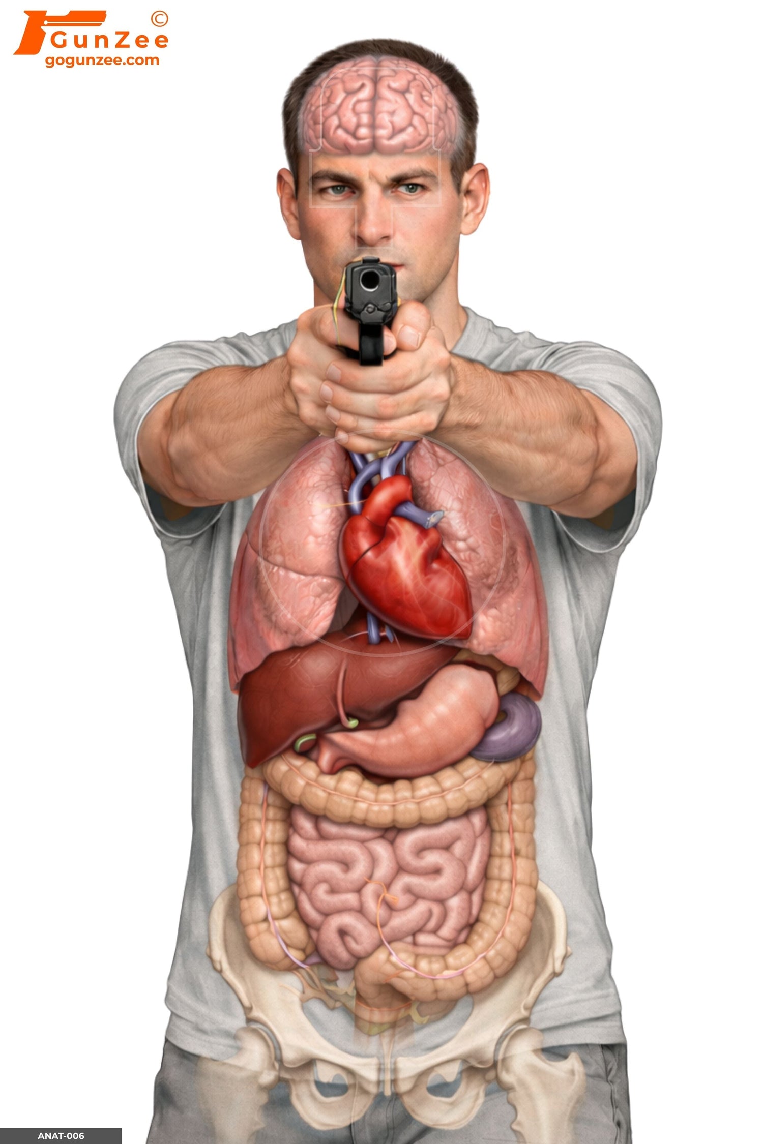 Semi-transparent anatomical man with handgun shooting target bridging classic silhouette training and life-size scenario realism