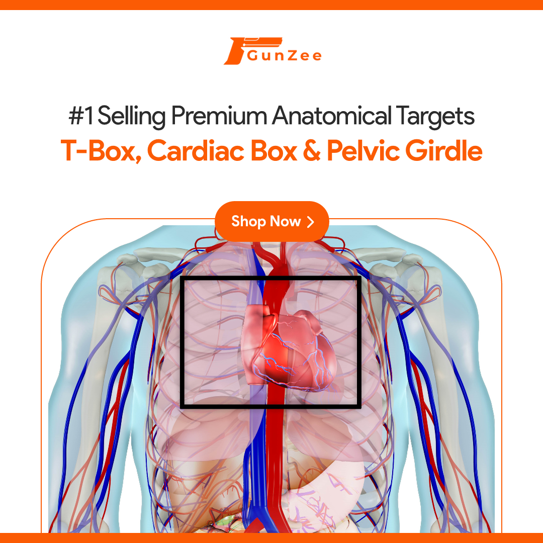 Building an Effective Firearms Training Regimen Using GunZee’s Anatomical Targets