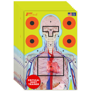 Stack of GunZee critical shot trainer targets with anatomical diagram and red dot on a white background