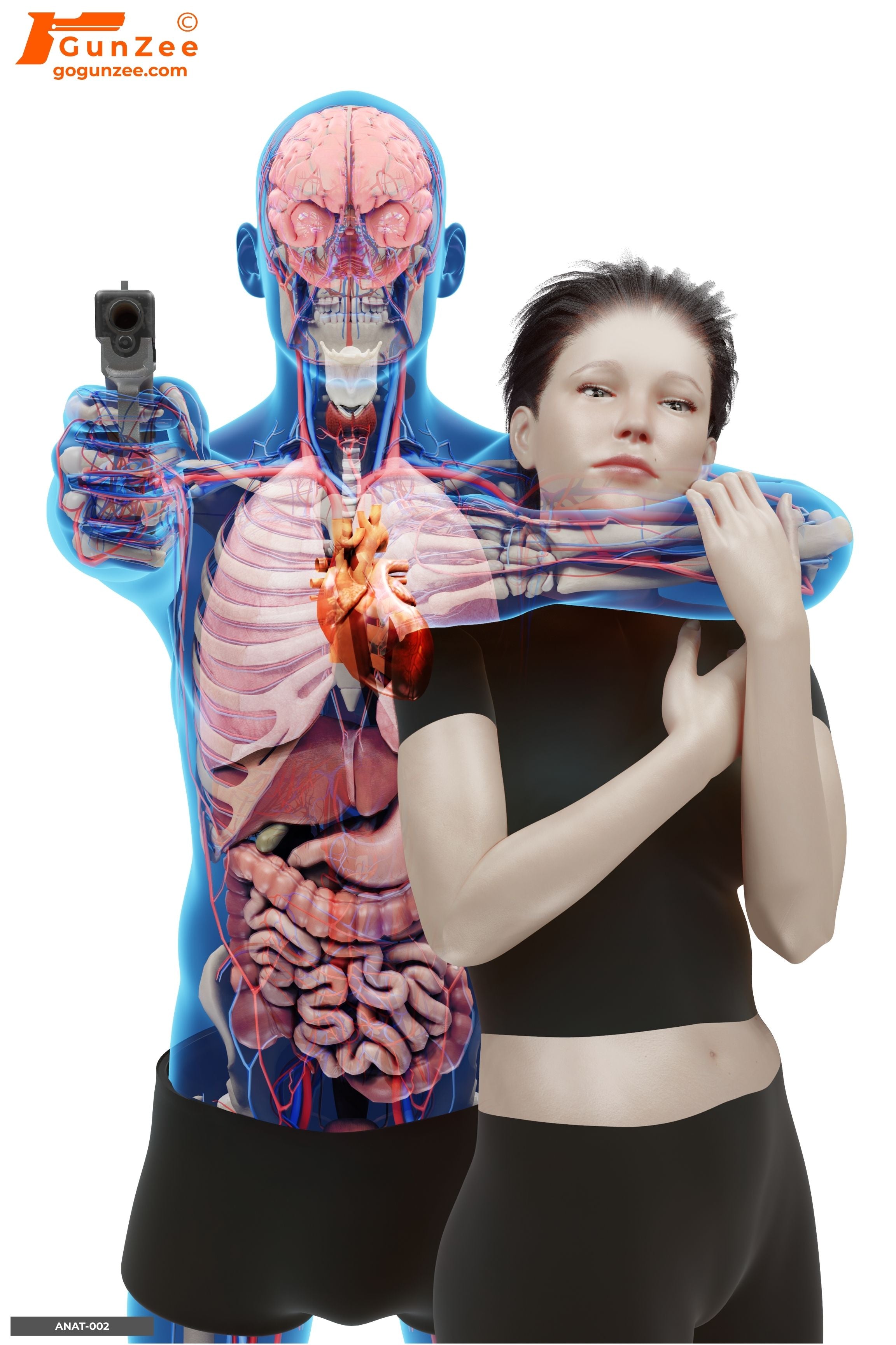 Anatomical Hostage Shield Vital Zone Shooting Target [24" x 36"] — included in the 150-Target Training Pack