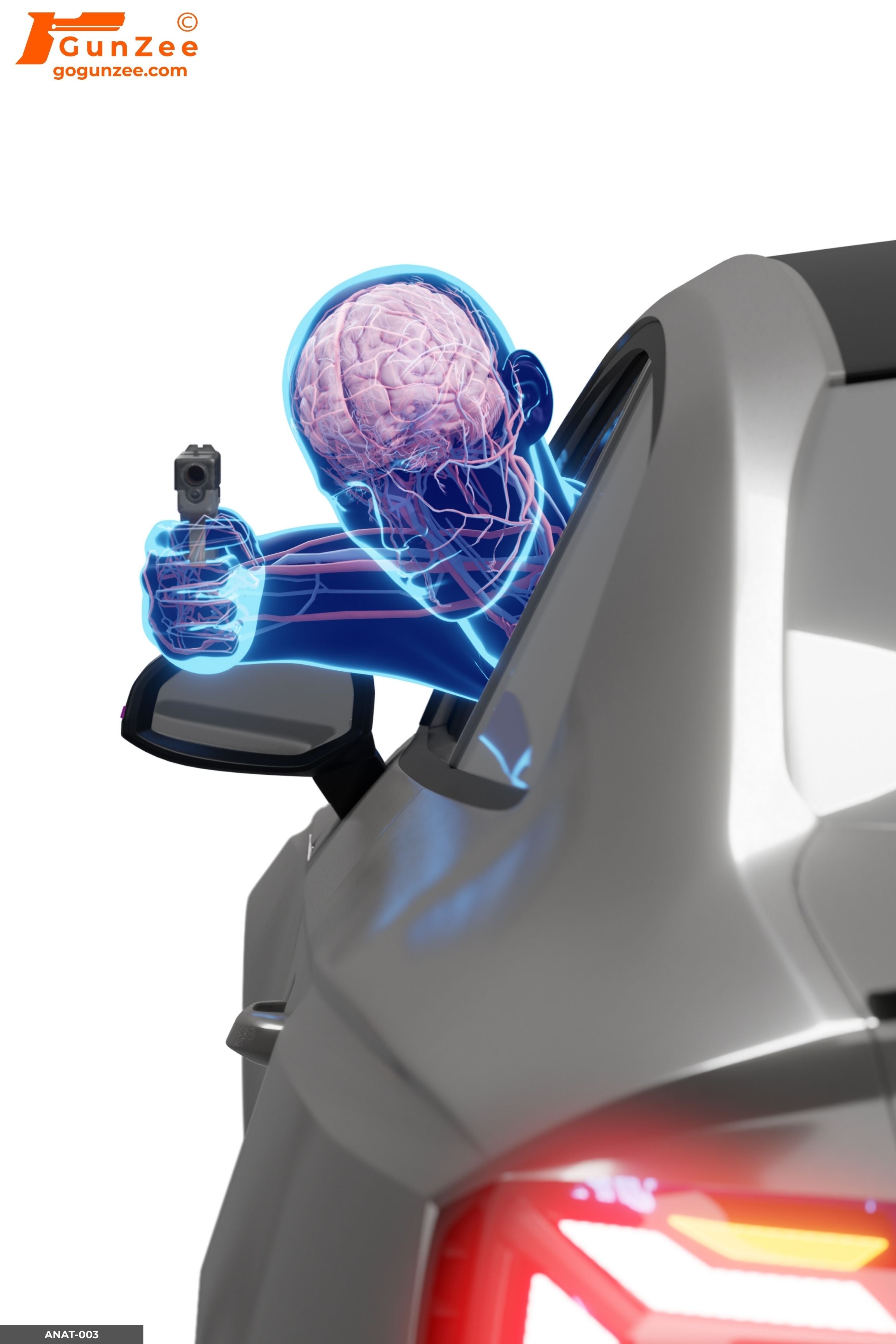 Anatomical Head-Out Vehicle Window Engagement Shooting Target