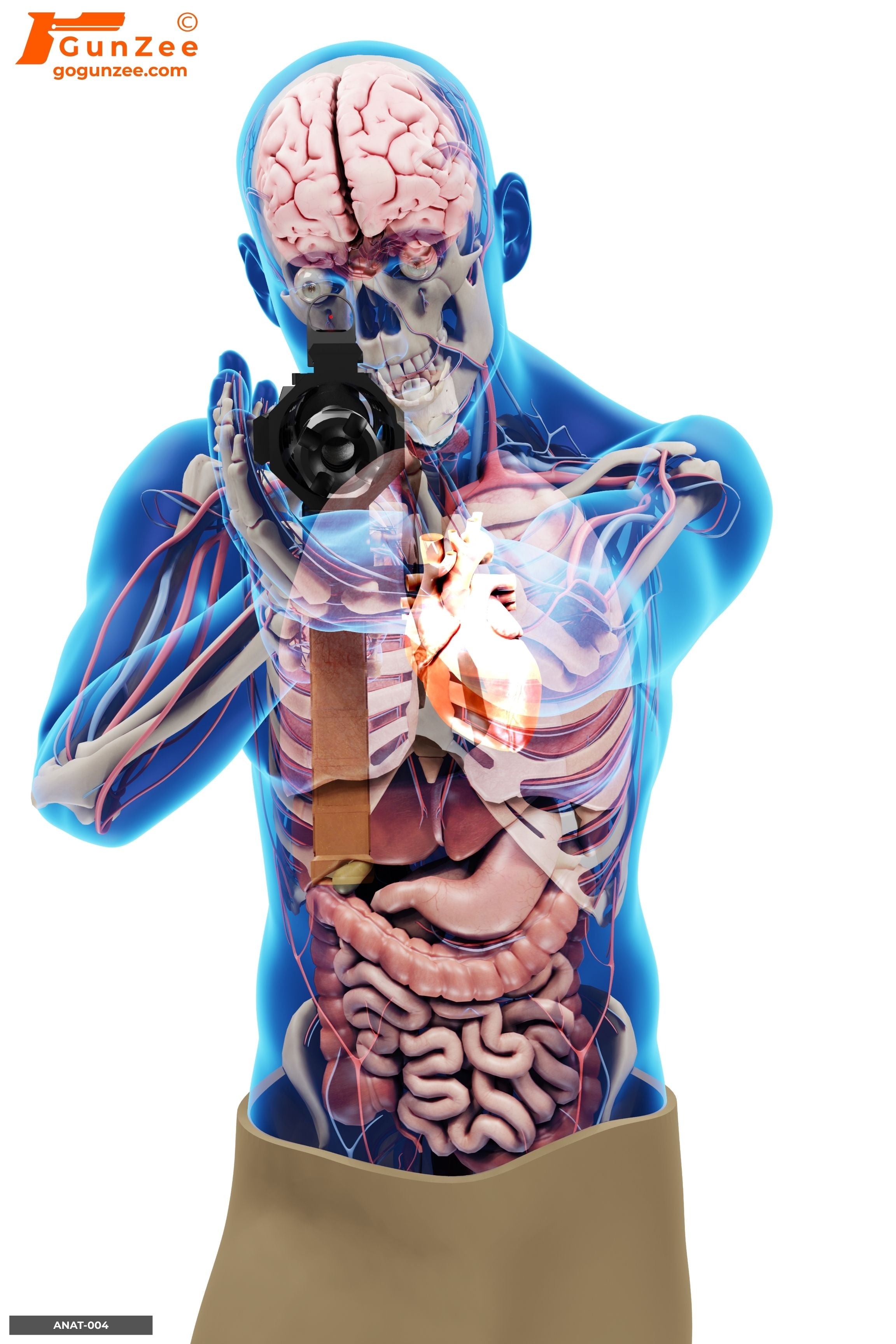 Anatomical Rifle Threat Vital Zone Shooting Target