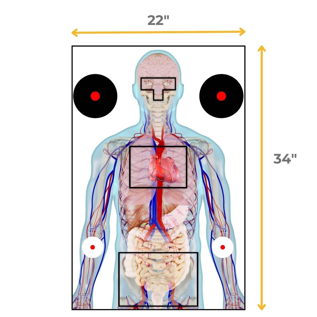 Anatomical Shooting Targets