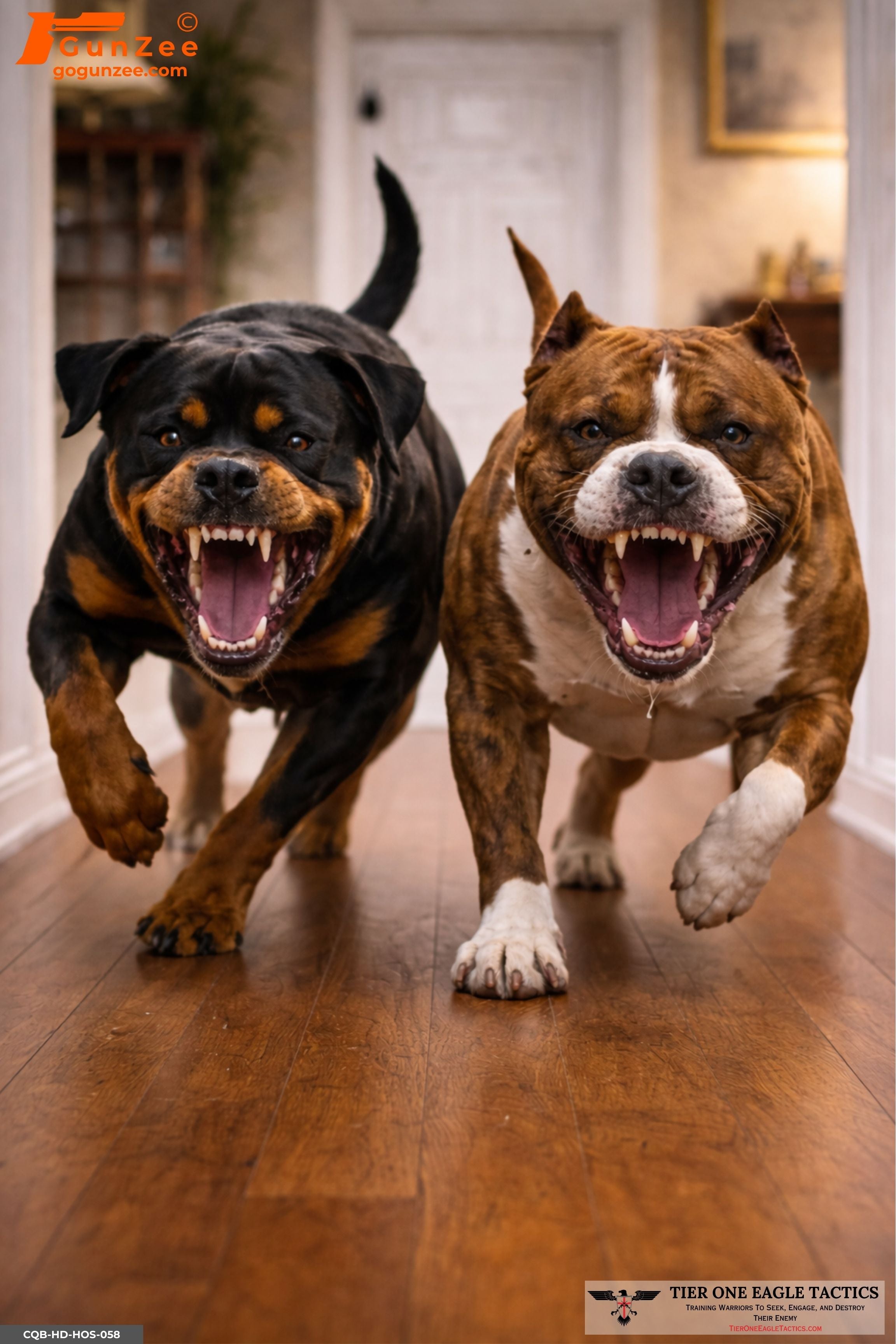Indoor Multiple Aggressive Dogs Charging Home Defense Shooting Target