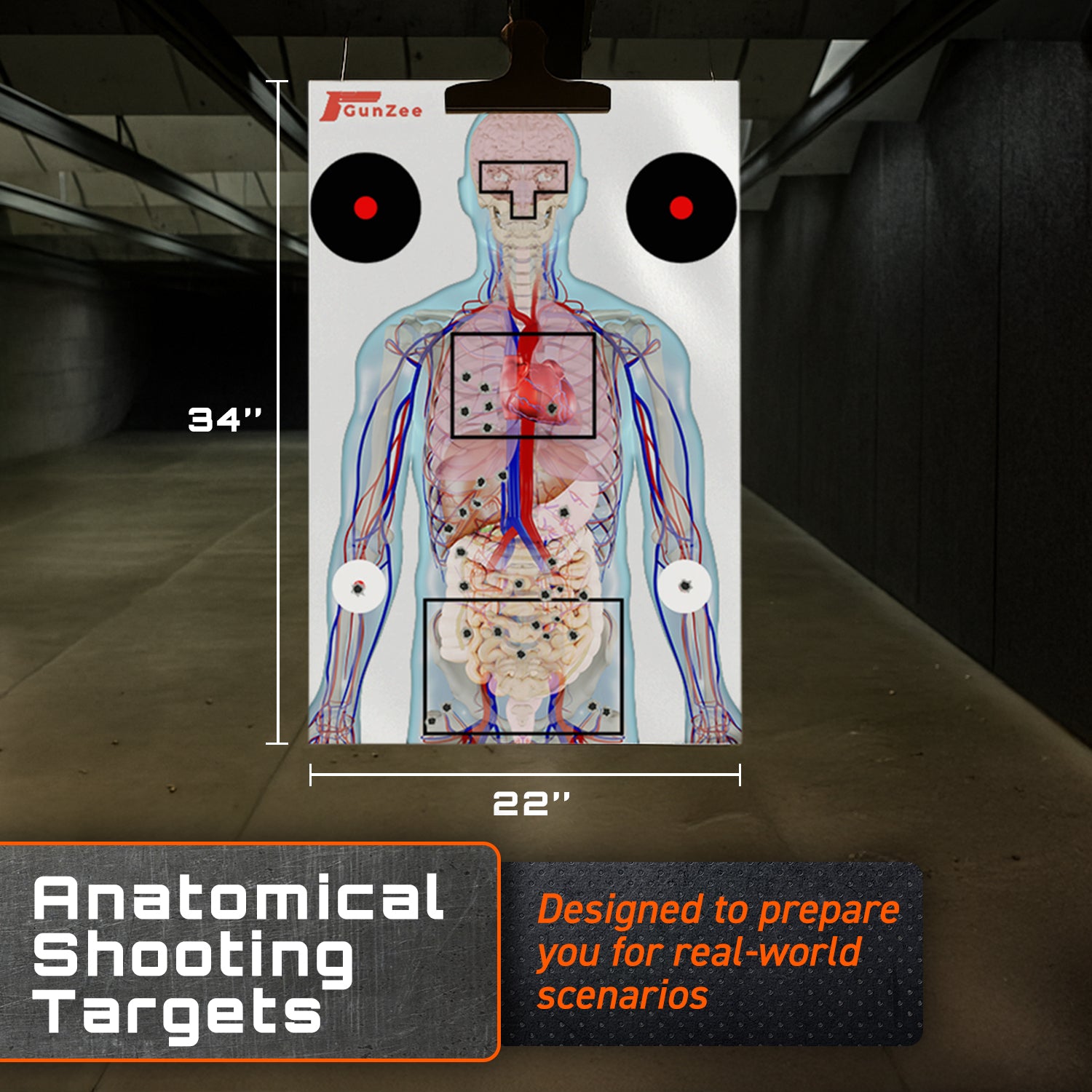 Anatomical Shooting Targets