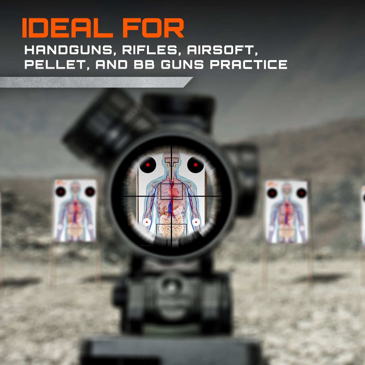 Anatomical Shooting Targets 22"x34" – Paper Range Targets for Handgun, Rifle & Airsoft Practice – 25 Pack