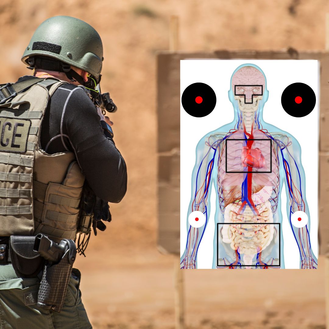 Anatomical Shooting Targets